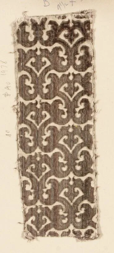 Fragment — Unknown