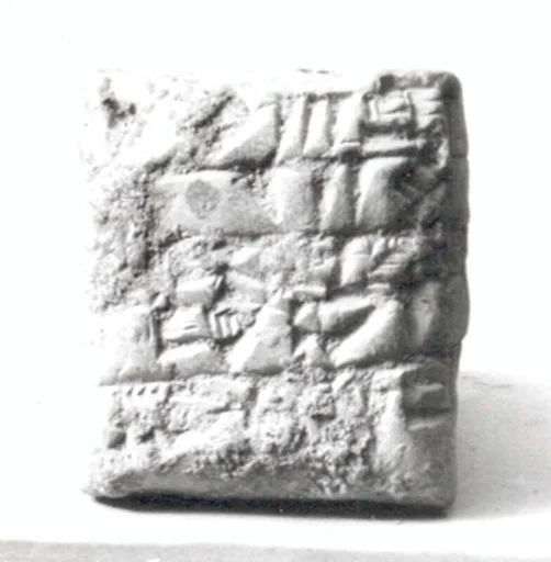 Cuneiform tablet: receipt of an ox and lambs