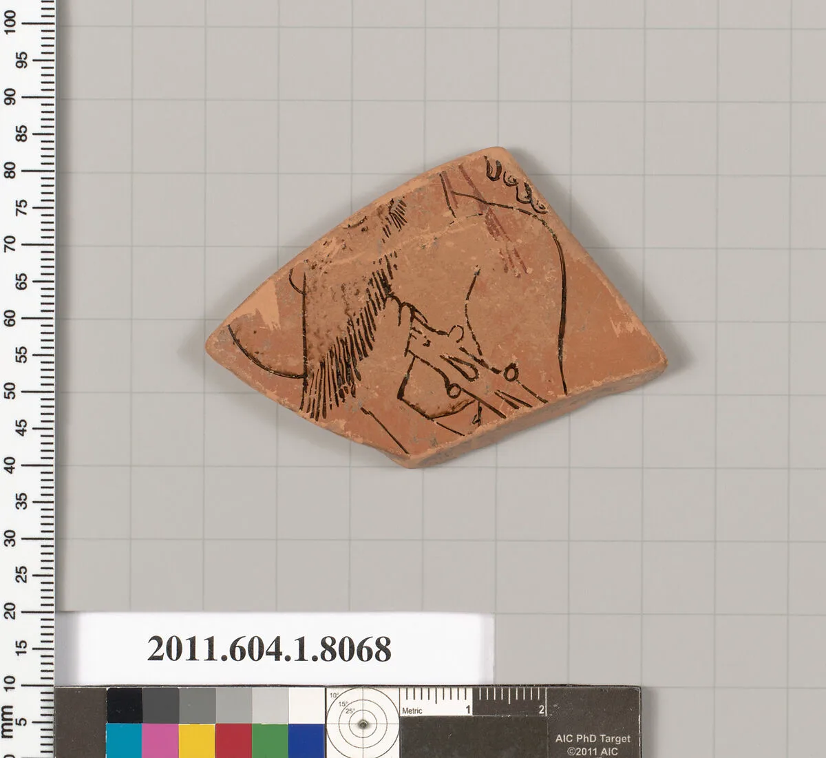 Terracotta fragment of a kylix (drinking cup) — Unknown