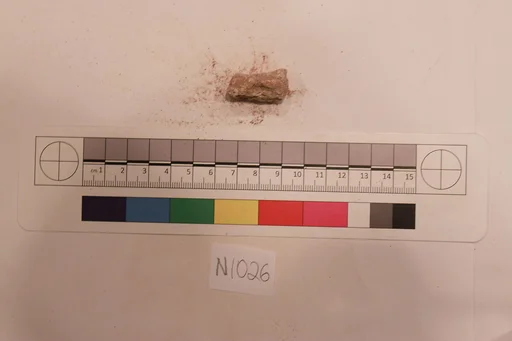 Stucco Fragment
