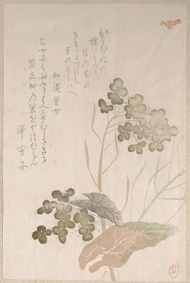 Untitled — Unidentified artist