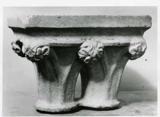 Double Capital