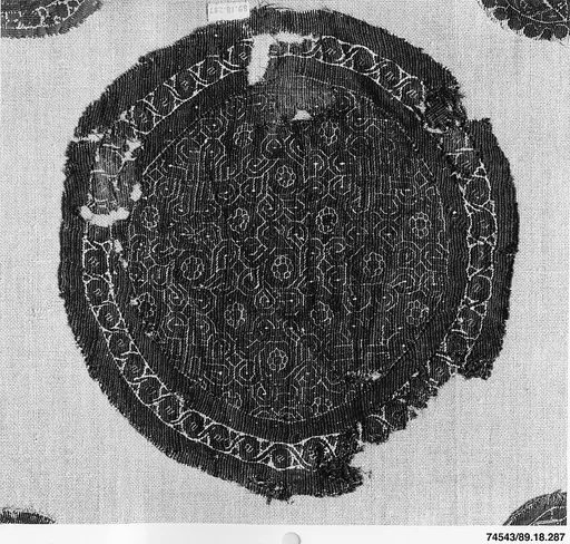 Textile Fragment