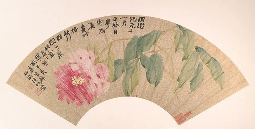 清 趙之謙 芍藥 扇面|Peony