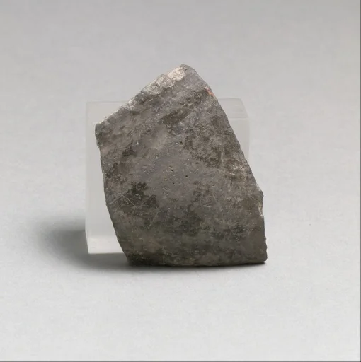 Vase fragment