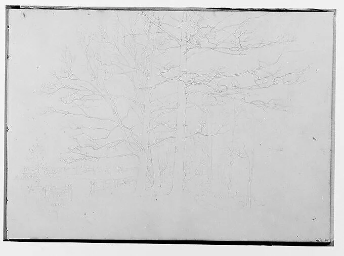 Trees Bordering a Farm Meadow (from Sketchbook) — Thomas Hewes Hinckley