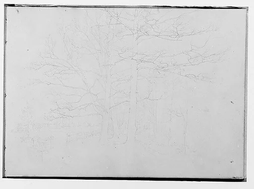 Trees Bordering a Farm Meadow (from Sketchbook)