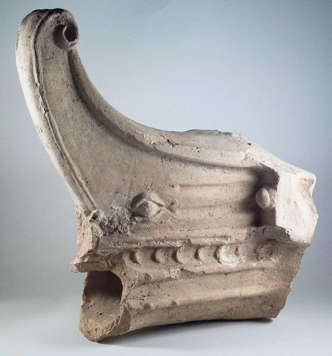 Rostrum with eye on each side — Unknown