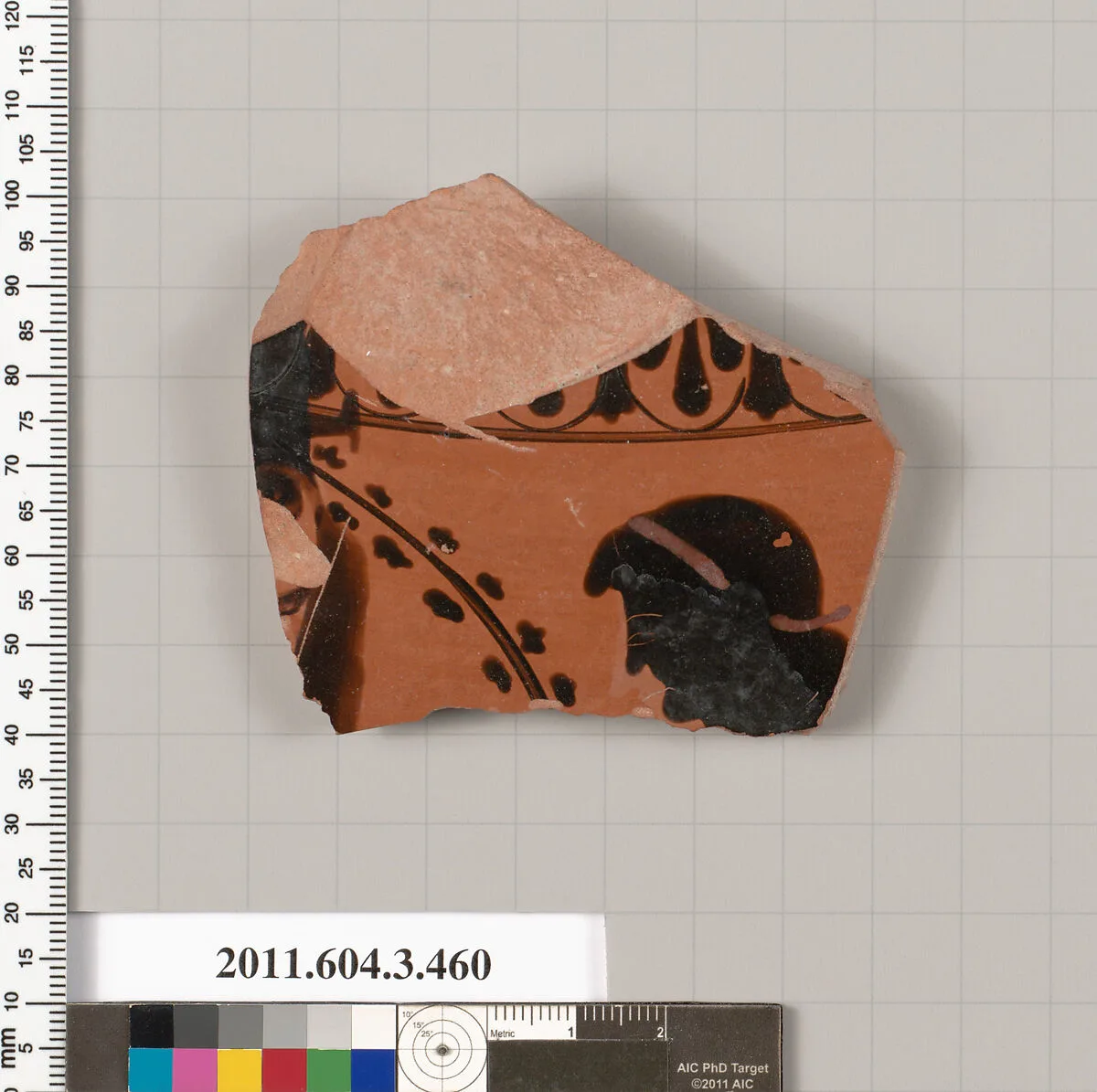 Terracotta fragment of an amphora (jar) — Unknown