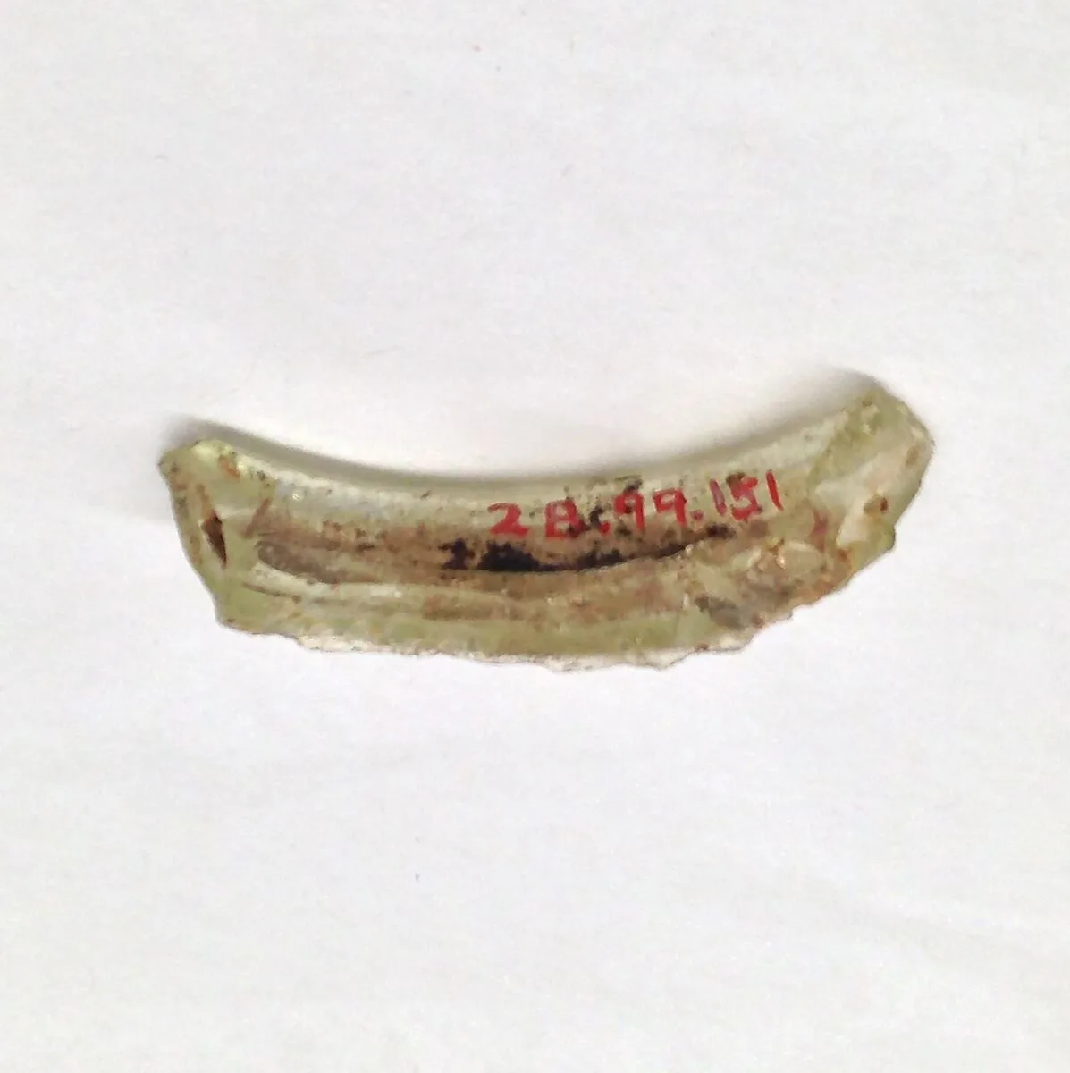 Fragment — Unknown