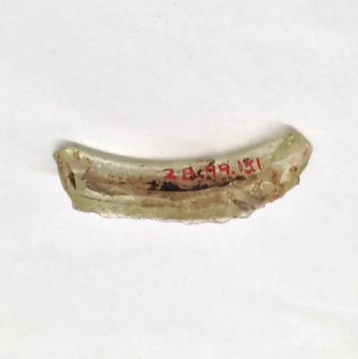 Fragment