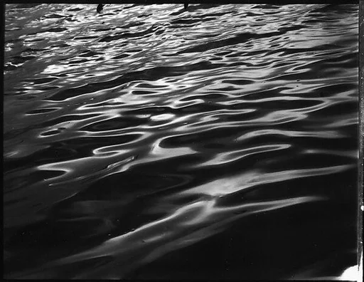 [Water, From Dayboat in Everglades, Florida]
