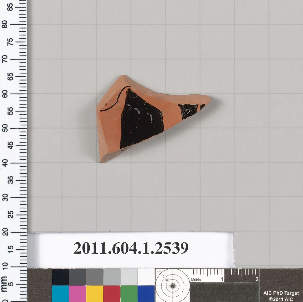 Terracotta fragment of a kylix (drinking cup) — Unknown