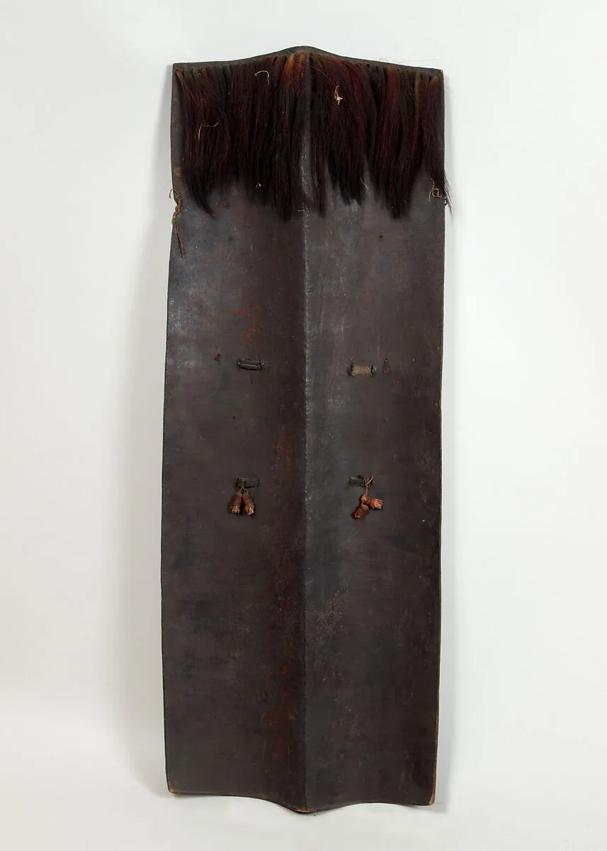 Shield (Dhàl) — Unknown
