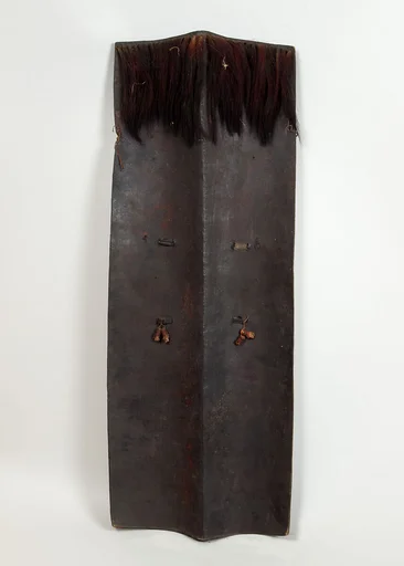 Shield (Dhàl)