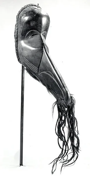 Face Mask — Unknown