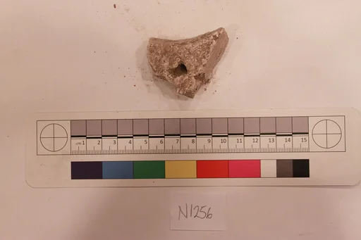 Stucco Fragment