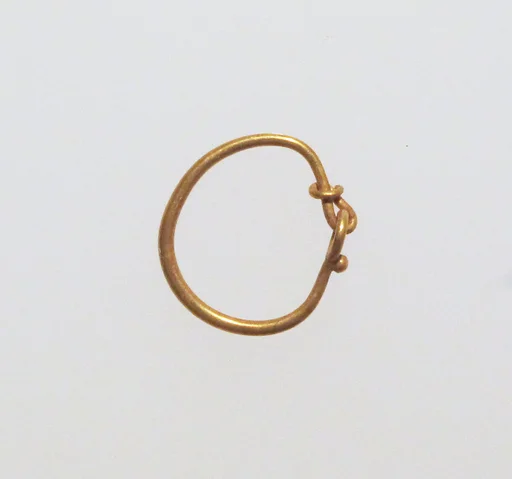 Earring-loop type