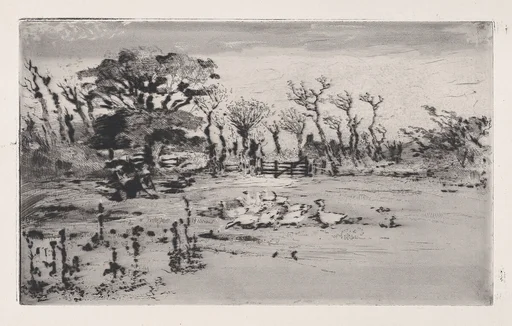 Geese