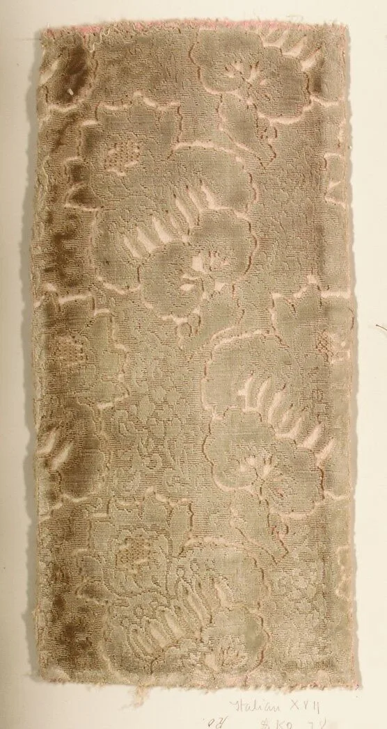 Fragment — Unknown