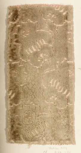 Fragment