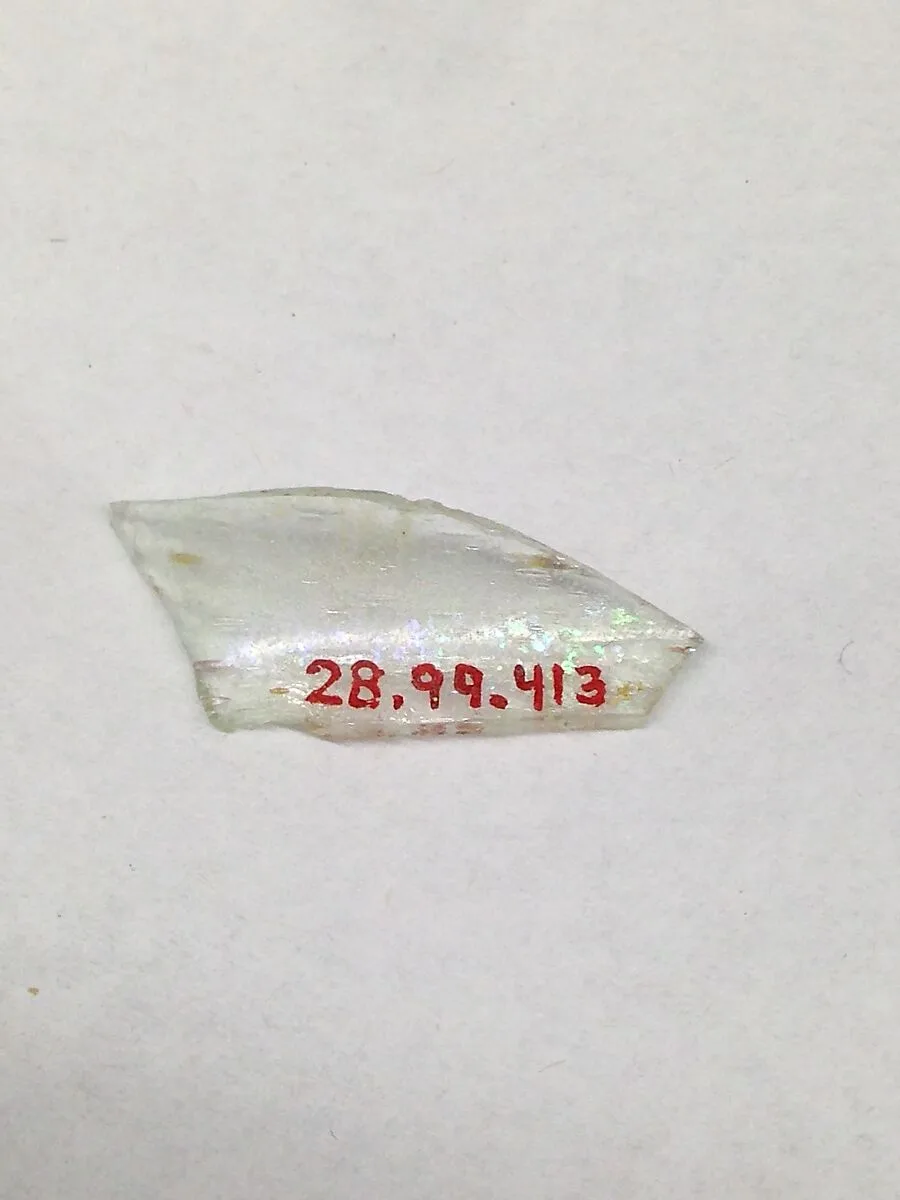 Fragment — Unknown