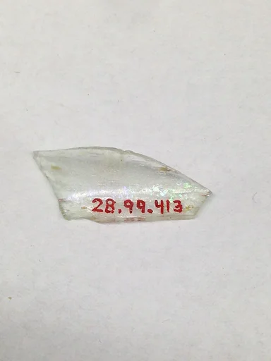 Fragment
