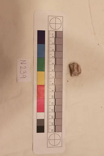 Stucco Fragment
