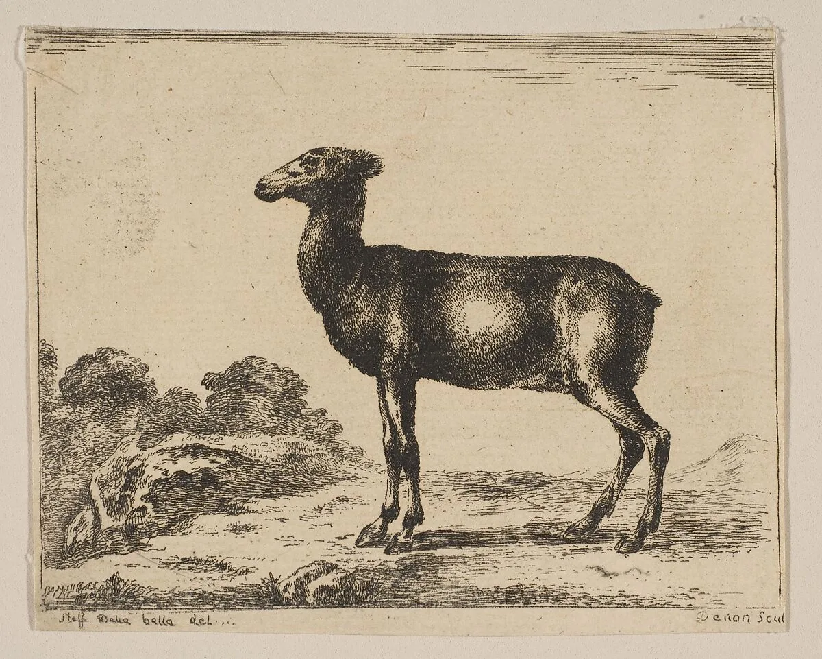 Plate 15: doe, from 'Various animals' (Diversi animali) — Stefano della Bella|Anonymous, 17th century
