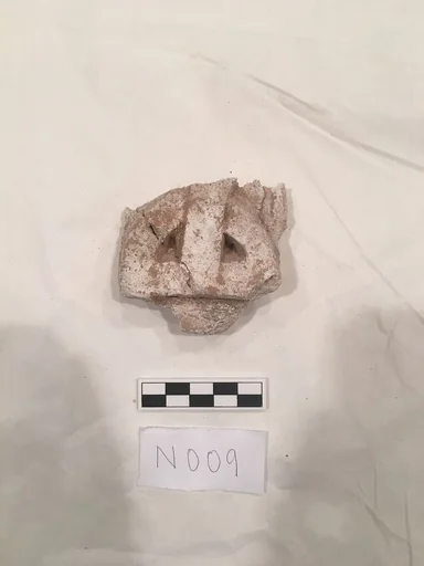 Stucco Fragment