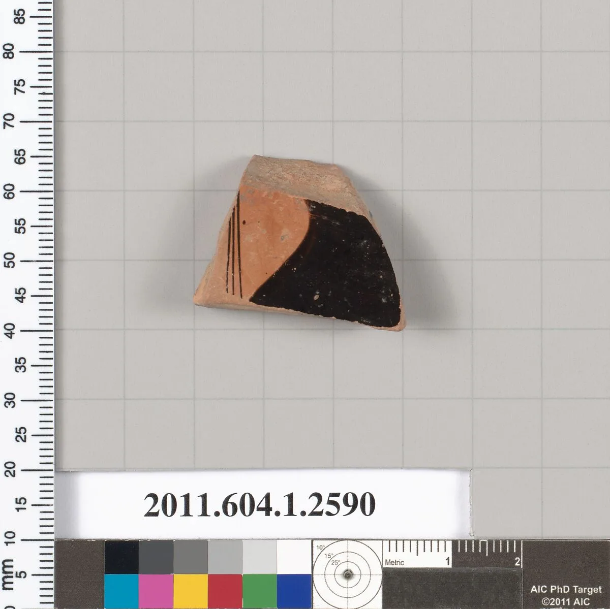 Terracotta fragment of a kylix (drinking cup) — Unknown