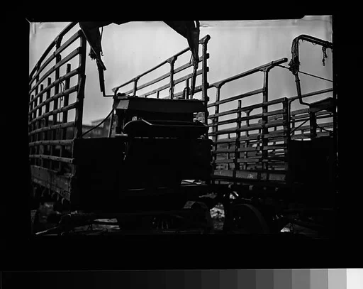 [Farmers' Flatbed Wagons, Old Wallabout Market, Brooklyn, New York]