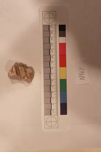 Stucco Fragment