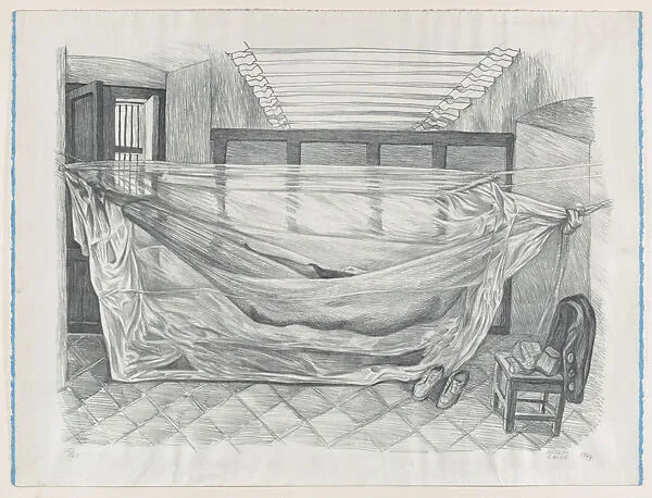 A hammock installed inside a room — Alfredo Zalce
