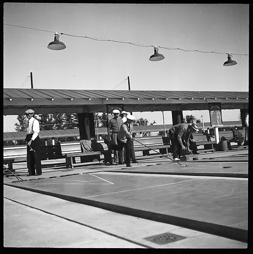 [Shuffleboard Players, Sarasota, Florida]