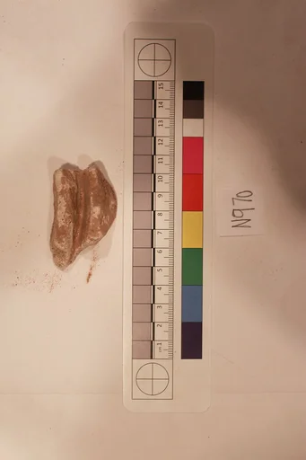 Stucco Fragment