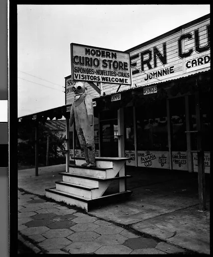 [Modern Curio Store, Tarpon Springs, Florida]