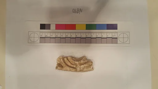 Stucco Fragment