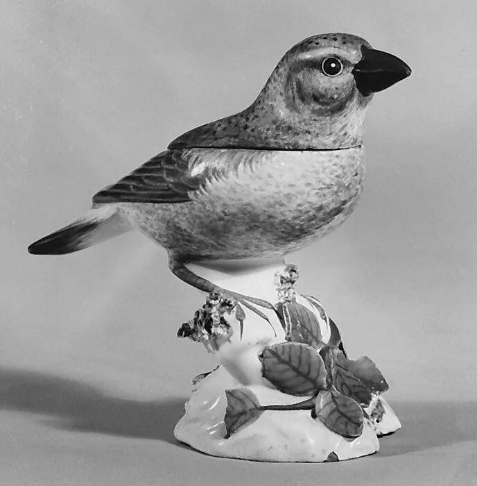 Thrush — Unknown