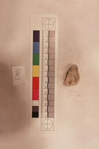 Stucco Fragment