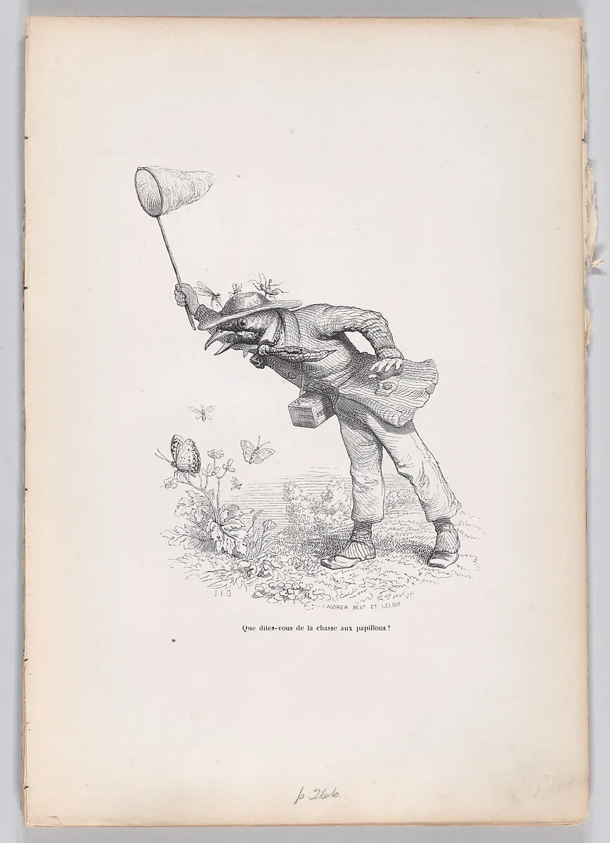 "What do you say about the butterfly hunt?" from Scenes from the Private and Public Life of Animals — Honoré de Balzac|J. J. Grandville|Andrew Best Leloir