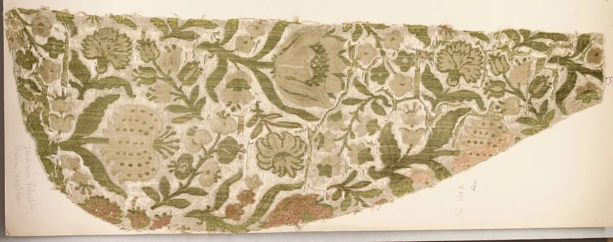 Fragment — Unknown