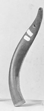 Horn