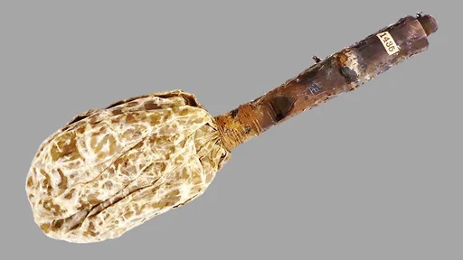 Bladderwhistle