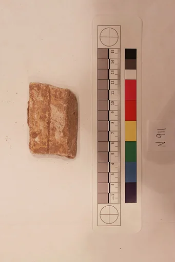 Stucco Fragment