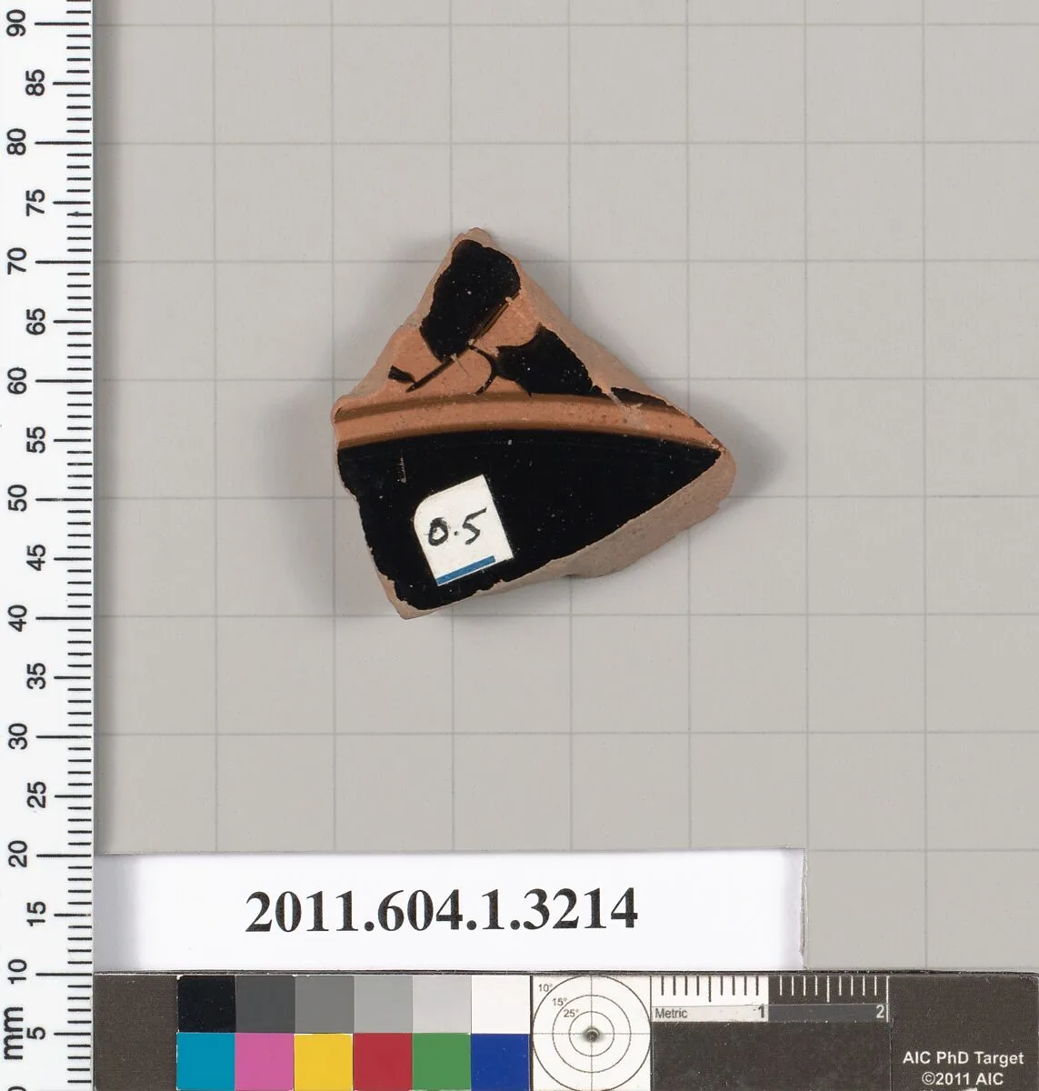 Terracotta fragment of a kylix (drinking cup) — Unknown