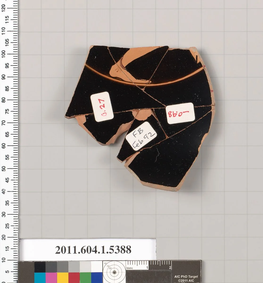 Terracotta fragment of a kylix (drinking cup) — Unknown