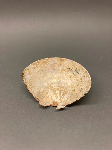 Fragment of a Bowl