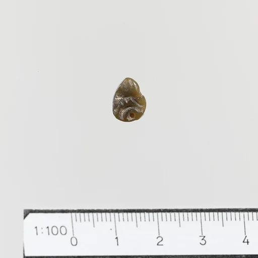 Seal, loop-handled signet