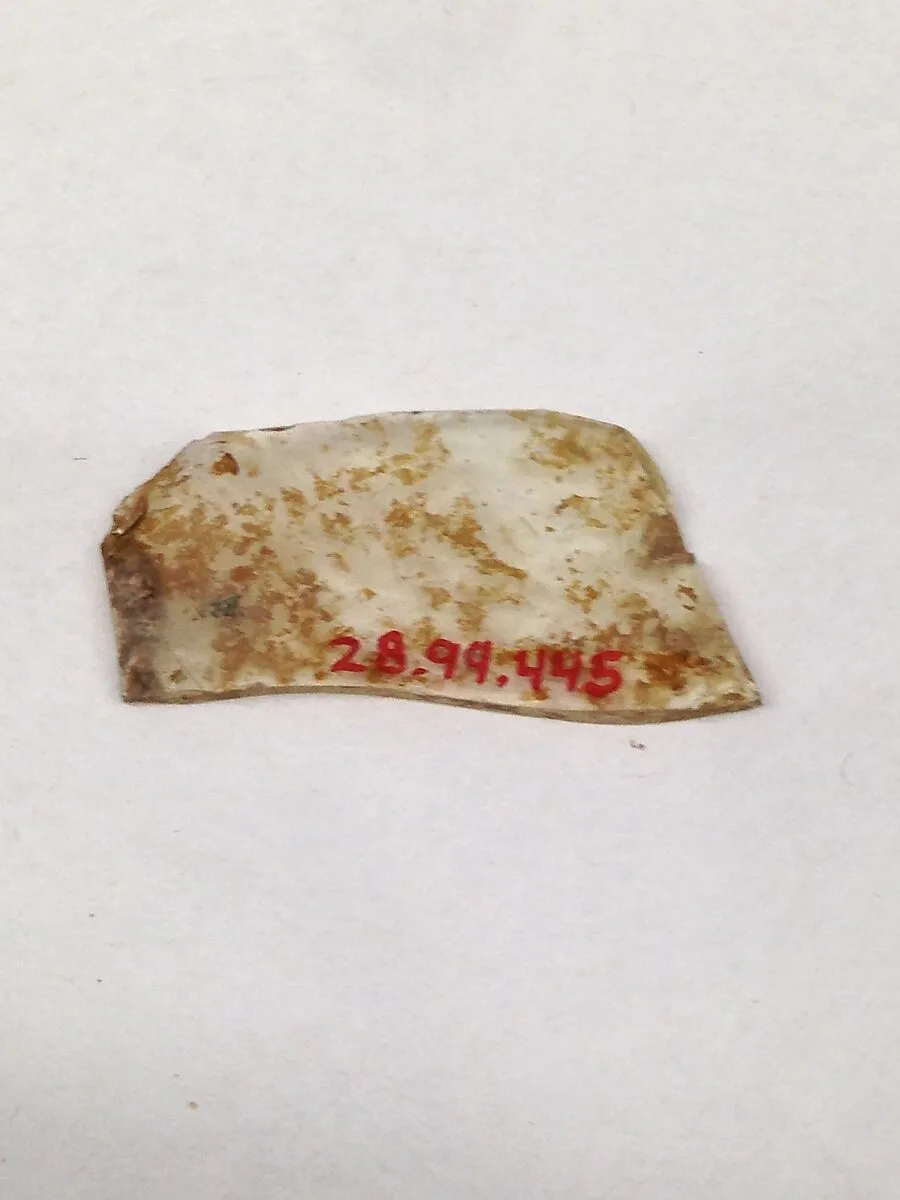 Fragment — Unknown